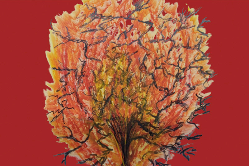 Bild zeigt eine abstrakte Form auf rotem Hintergrund.